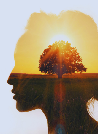 Cultivating Mindfulness: A Path to Mental Wellness